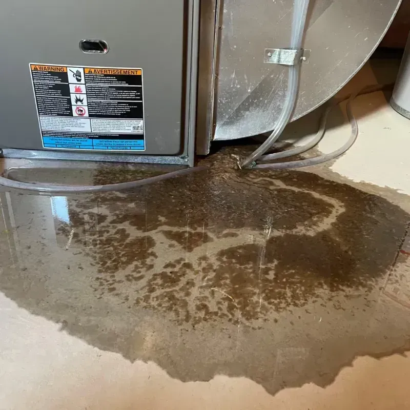 Appliance Leak Cleanup in Bloomingdale, NJ